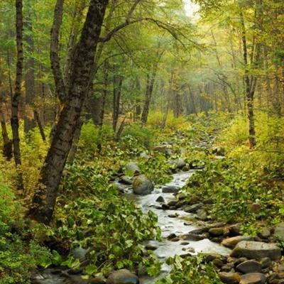 博鱼app手机app下载